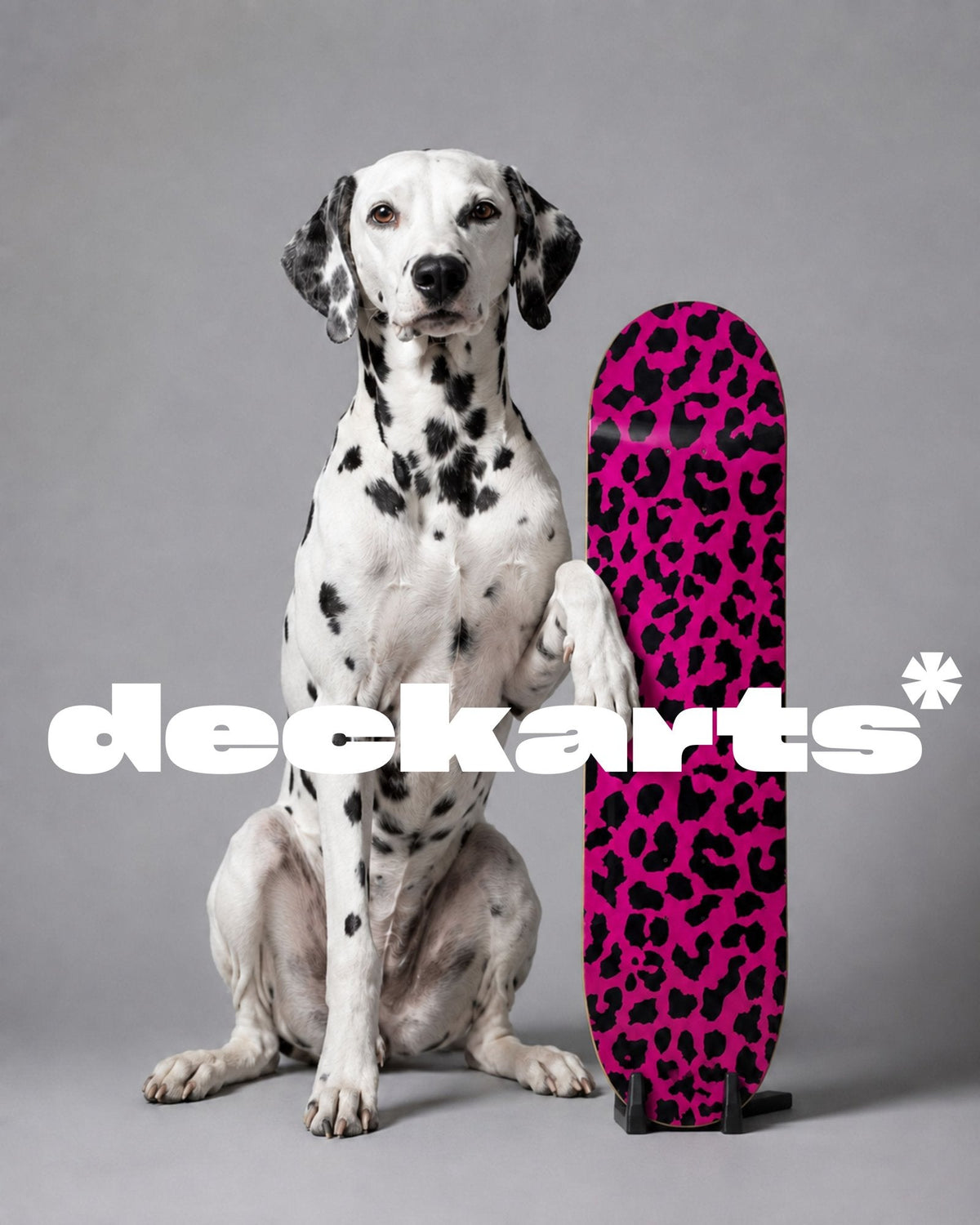 Dalmatian sitting beside a pink leopard print deckarts skateboard deck on a floor stand, with the deckarts wordmark